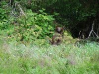 DSC00175.sized.jpg