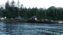 DSC00229.sized.jpg