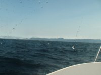 DSC00304.sized.jpg