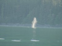 DSC00329.sized.jpg