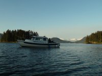 DSC00331.sized.jpg