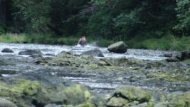 DSC00361.sized.jpg