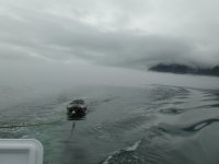 DSC00377.sized.jpg
