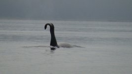 DSC00391.sized.jpg