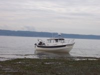 misc_pics_143.sized.jpg