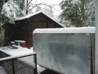 IMG_3912.sized.jpg