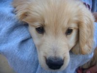 MurphyCloseUp.sized.jpg