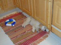 DSCN0002.sized.jpg