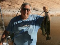 all+Mouth+Bass+on+a+Stringer+at+Oak+Canyon+9-27-10.jpg