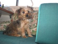 IMG_3537.sized.jpg