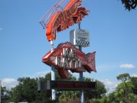 IMG_2251_1.sized.jpg