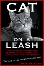 CatOnALeash_coverE2.jpg