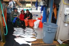 DSC_4137.sized.jpg