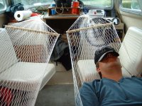 Hammock.jpg