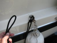 IMG_0554.sized.jpg