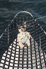 Big_Bear_s_Hammock.sized.jpg