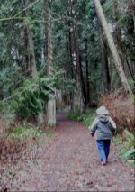 Trail_from_Fossil_Bay_to_Shallow_Bay_1_16_11.sized.jpg