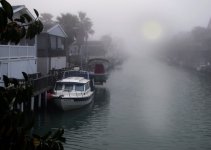 WBFog.jpg
