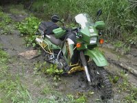 DSC00002.sized.jpg