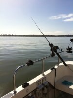 IMG_0837.sized.jpg