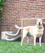 dog-house-heater-ac_B.jpg