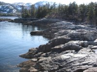 IMG_3468.sized.jpg