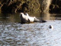 IMG_3475.sized.jpg