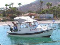 Catalina_Gathering_On_The_String.jpg