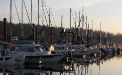 IMG_0347.jpg