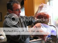 shrimping2011003.jpg