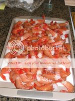 shrimping2011006.jpg