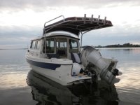 Sea_Hag_2.sized.jpg