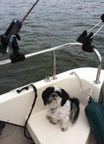IMG_1265.sized.jpg