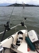 IMG_1266.sized.jpg