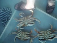2011_08_21_17_38_01.sized.jpg 2011_08_21_17_38_01.sized.jpg