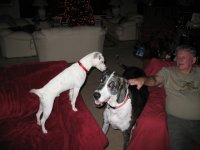 IMG_1452.sized.jpg IMG_1452.sized.jpg