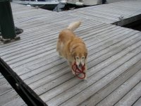 IMG_4499.sized.jpg