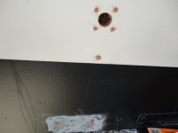 DSC00773.sized.jpg