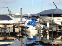 IMG_0228.jpg