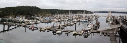 FridayHarborPanE.sized.jpg