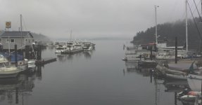 FoggyMornE.jpg