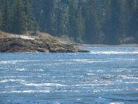 Princess_Louisa_Trip_July_2010_029.jpg