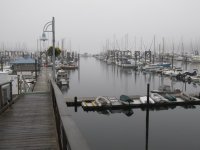 Fog7e.jpg