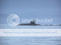 boatonrocks3.jpg