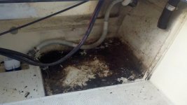 2012_09_05_17_37_41_505.jpg