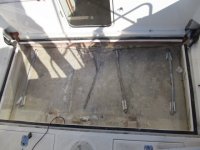 IMG_0189_1.sized.jpg
