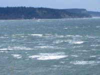 Decstorm_007.jpg
