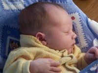 TristanJames_12days.sized.jpg