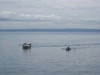 IMG_3157_1.sized.jpg