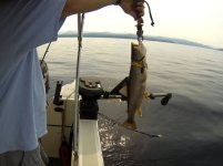 FishLasso.sized.jpg